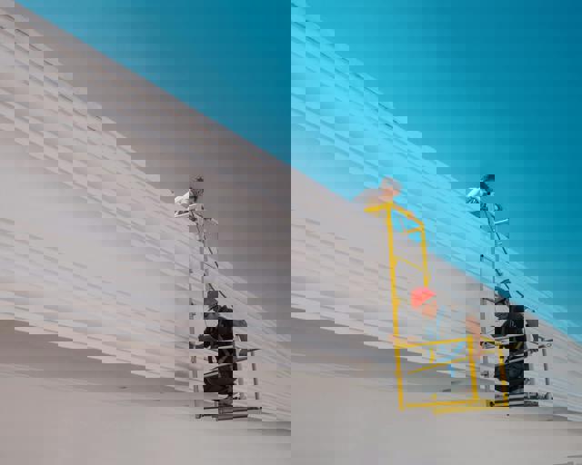 Hidden Murals Unveiled in Century-Old Library During Restoration Project